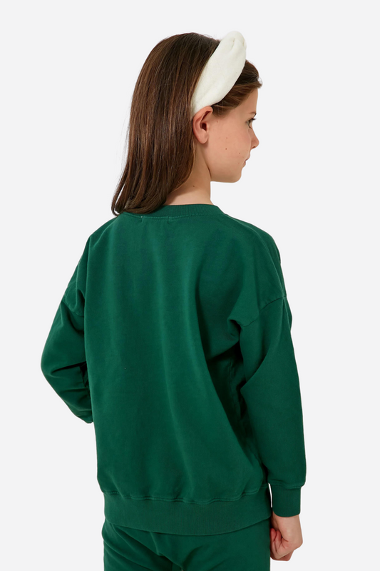 Kids Solid Unisex Full Sleeves Sweat Shirt (Fleece) Green