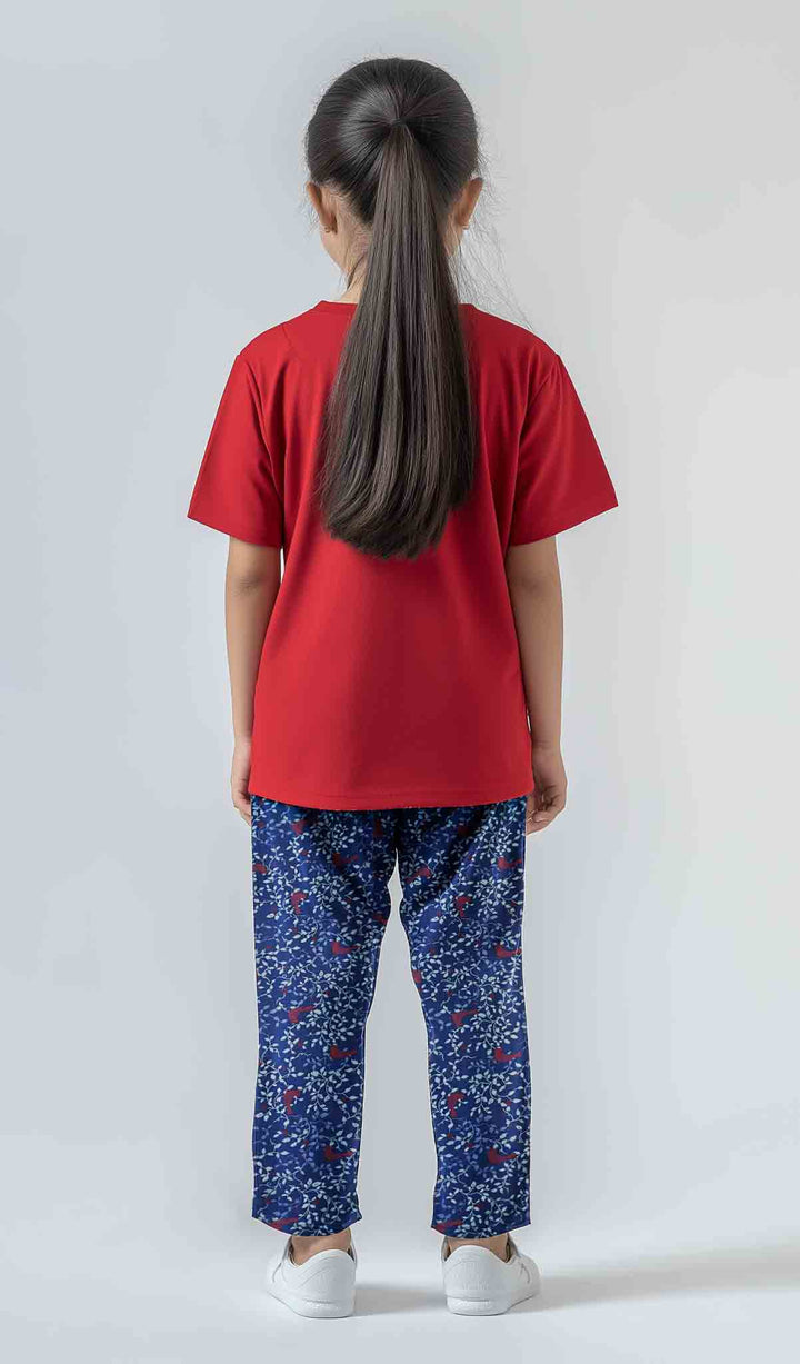 night suit for kids tshirt and trousers