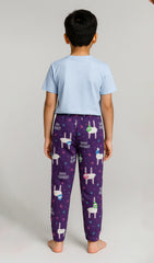 Boy T-shirt and Trouser (Purple and Sky)