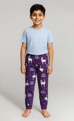 Boy T-shirt and Trouser (Purple and Sky)