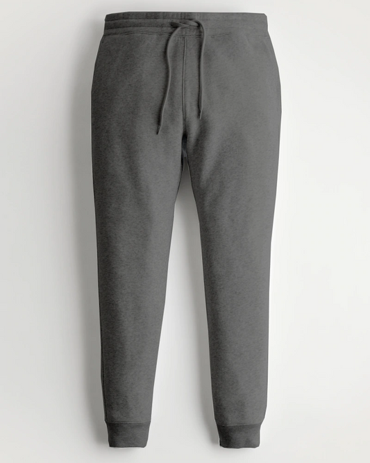 Men's Premium Fleece joggers (charcoal)
