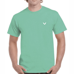  round neck t shirt  price in Pakistan